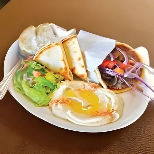 A Gyro 101 platter with a gyro, hummus, pita bread, and a side salad.
