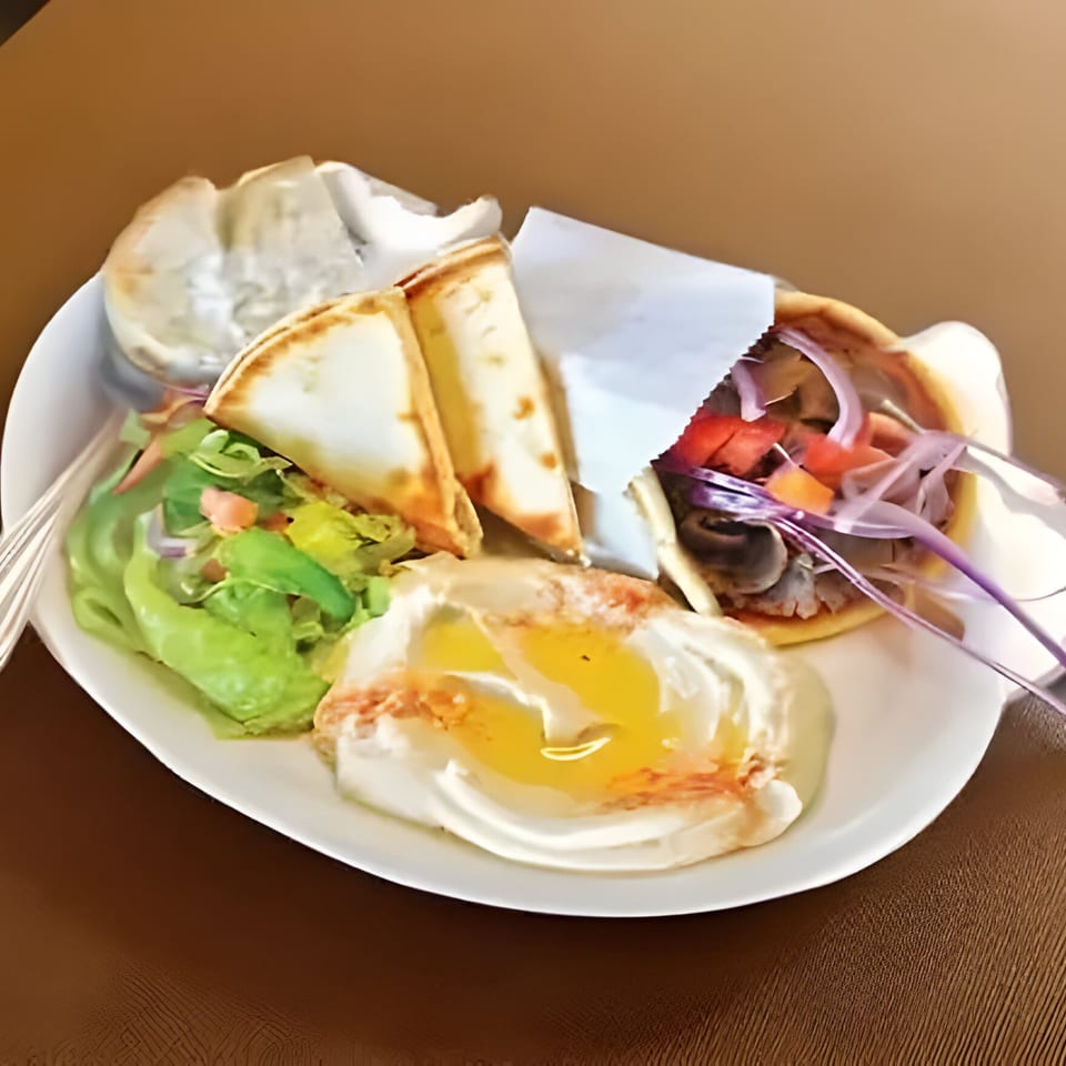 Gyro 101 plate with a gyro, pita bread, salad, and hummus on a white plate.