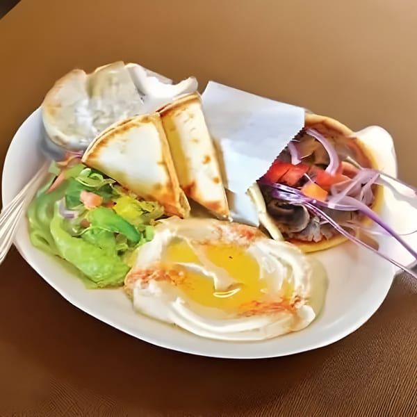 Gyro 101's gyro plate with pita bread, salad, hummus, and a gyro wrap.